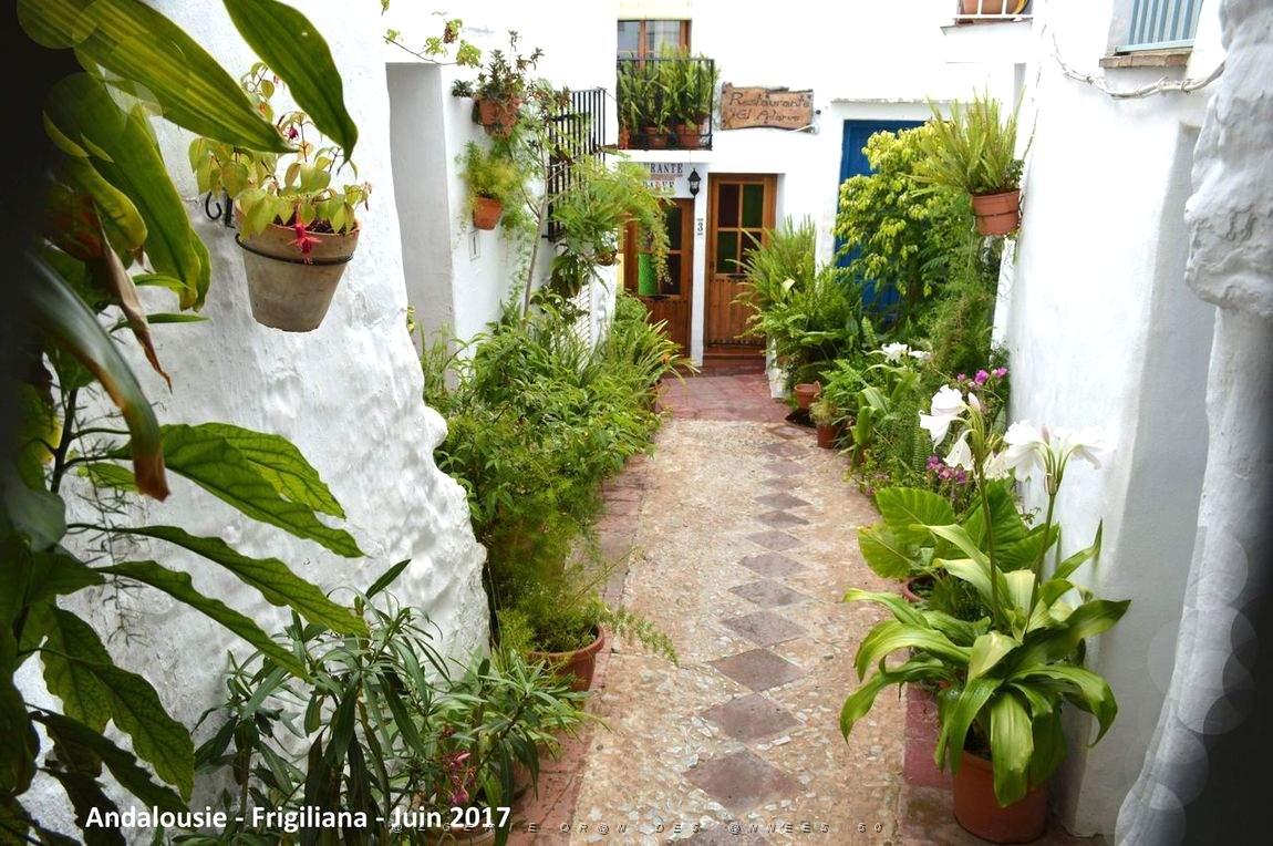 563 - Frigiliana.JPG